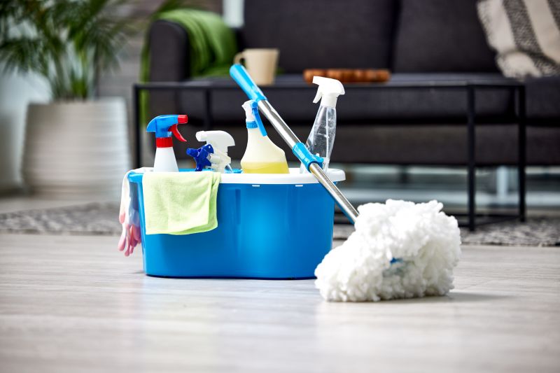 Condo Cleaning in Renton, WA