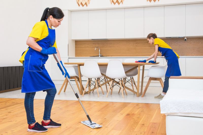Move In Cleaning Service in Renton, WA
